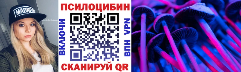 Галлюциногенные грибы GOLDEN TEACHER  Купить  Мытищи 